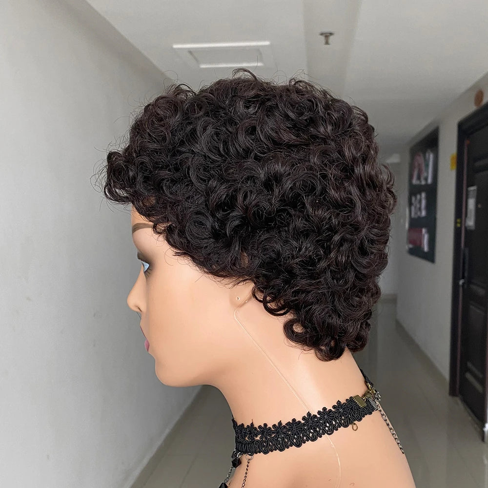 Short Curly Pixie Cut Human Hair Wigs For Women Full Machine Made Short Kinky Curly Wigs Human Hair Natural Black Color